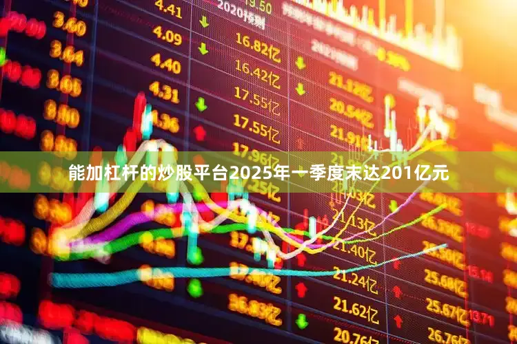 能加杠杆的炒股平台2025年一季度末达201亿元