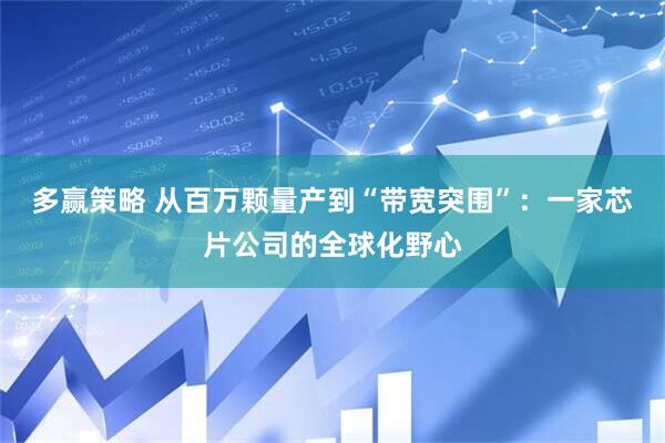 多赢策略 从百万颗量产到“带宽突围”：一家芯片公司的全球化野心